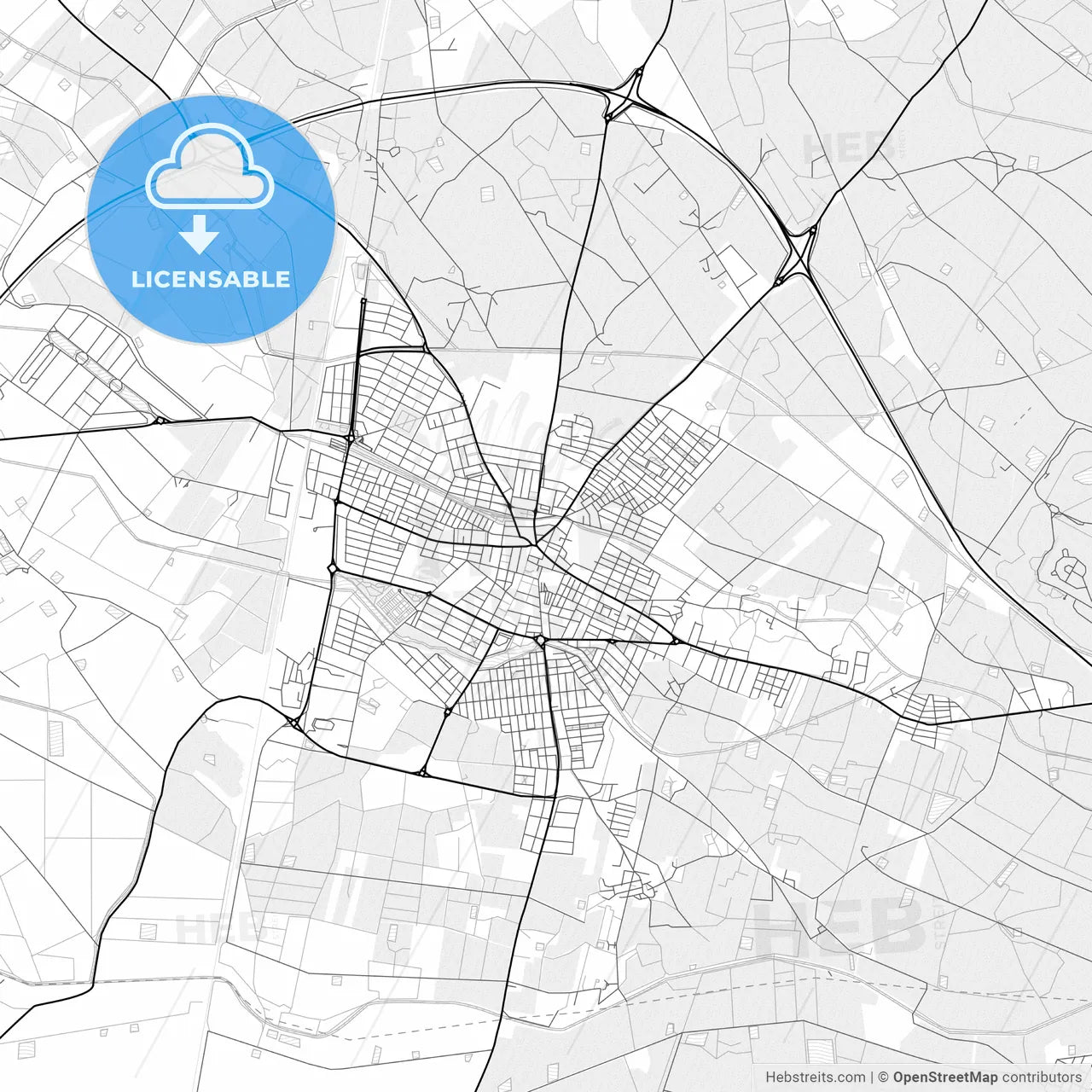 Vector PDF map of Torre-Pacheco, Spain