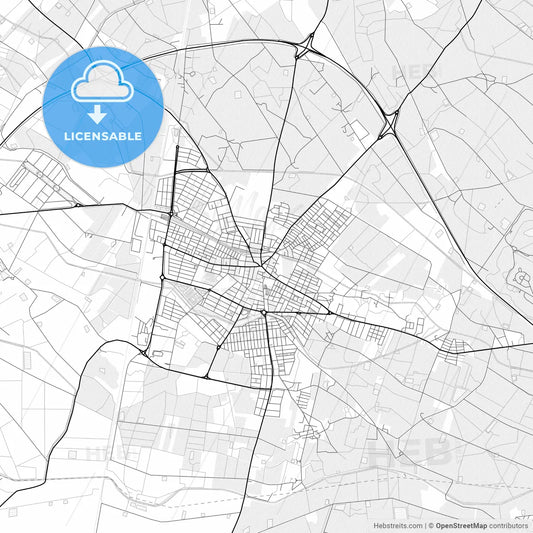 Vector PDF map of Torre-Pacheco, Spain