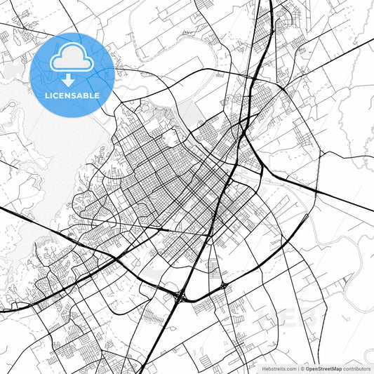 Vector PDF map of Waco, Texas, United States