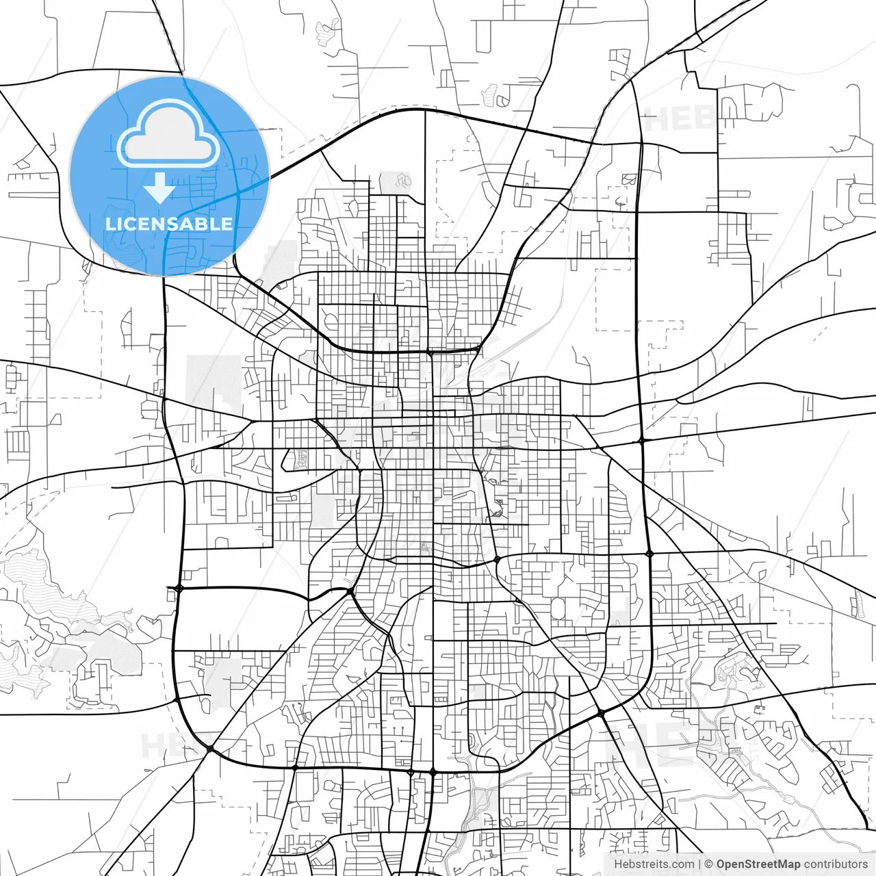 Vector PDF map of Tyler, Texas, United States