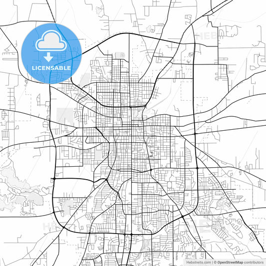 Vector PDF map of Tyler, Texas, United States
