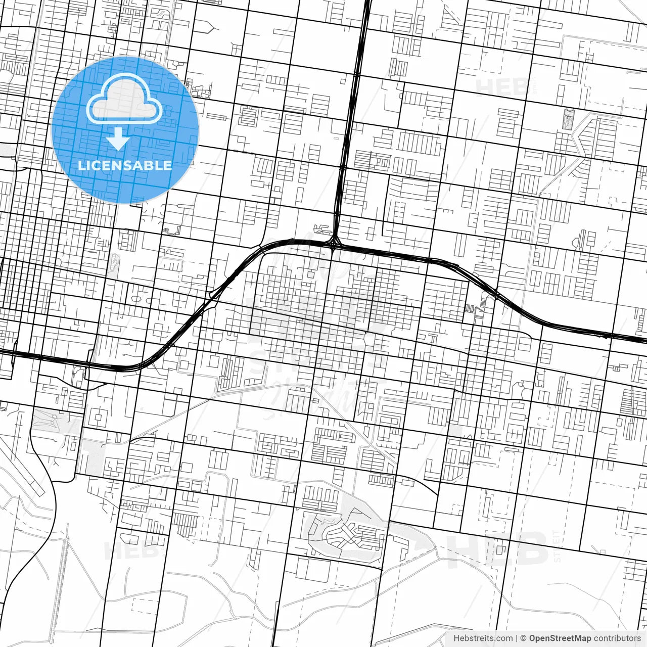 Vector PDF map of Pharr, Texas, United States