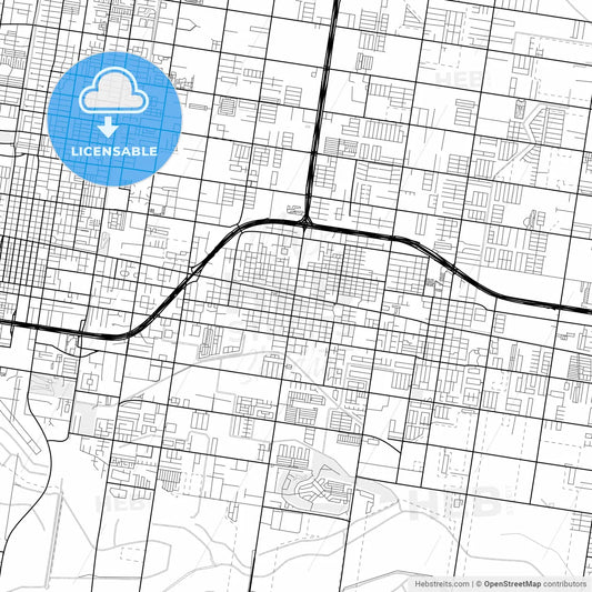 Vector PDF map of Pharr, Texas, United States