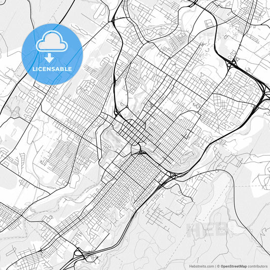 Vector PDF map of Scranton, Pennsylvania, United States