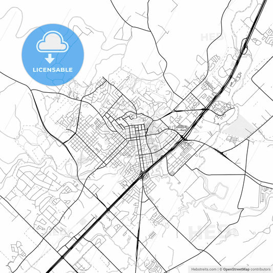 Vector PDF map of San Marcos, Texas, United States