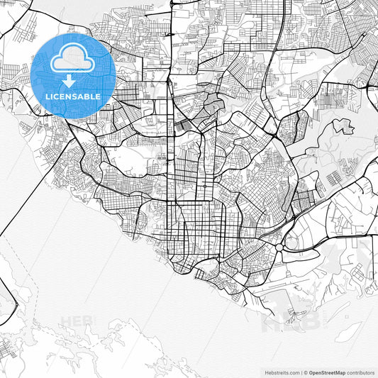 Vector PDF map of Manaus, Brazil