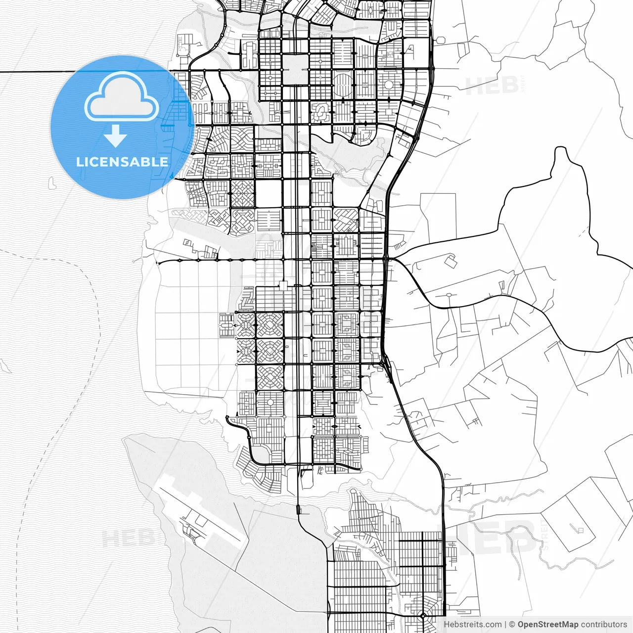 Vector PDF map of Palmas, Brazil