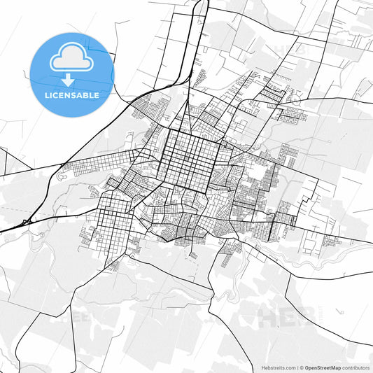 Vector PDF map of Chillan, Chile