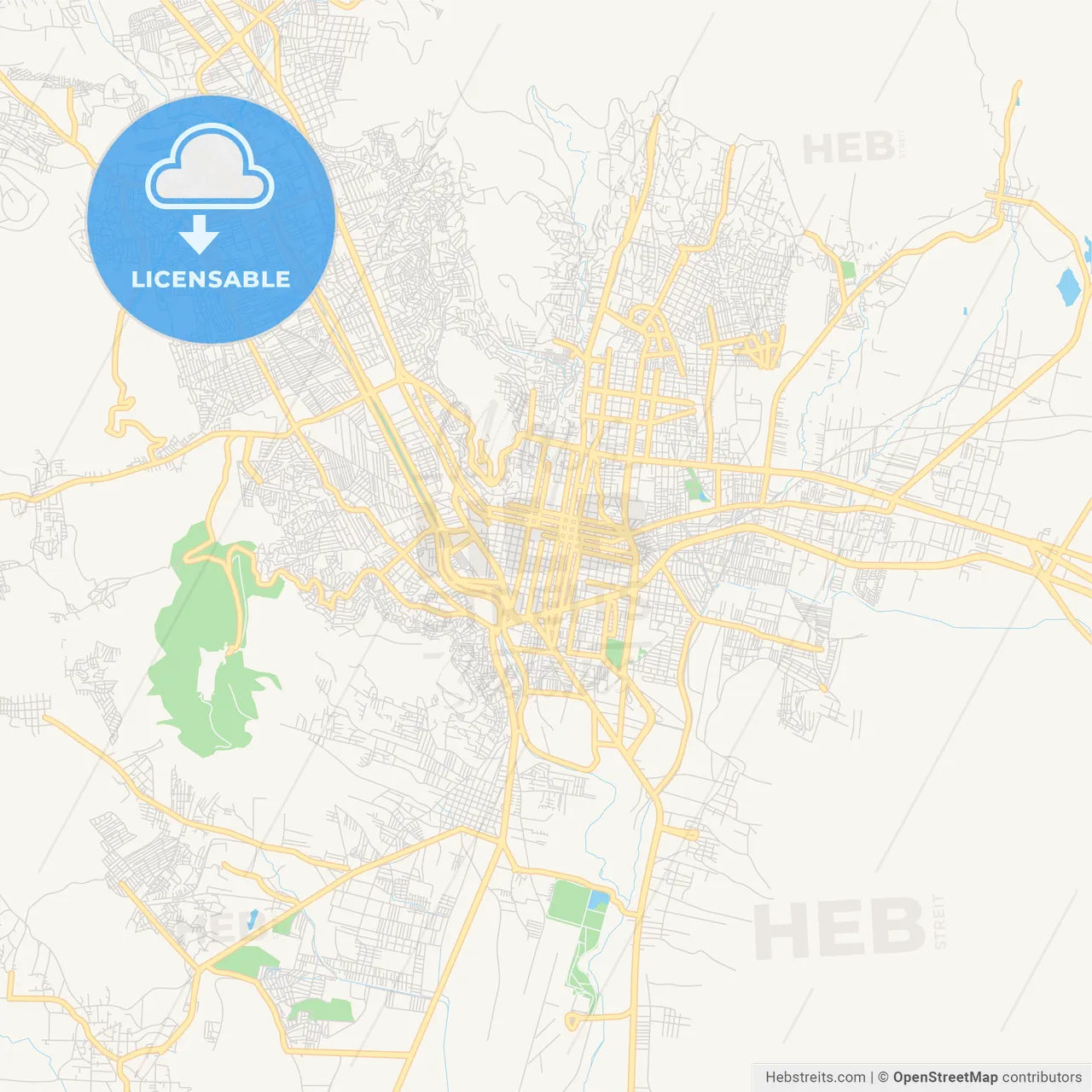 Empty vector map of Oaxaca, Oaxaca, Mexico