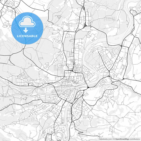 Vector PDF map of Steyr, Austria