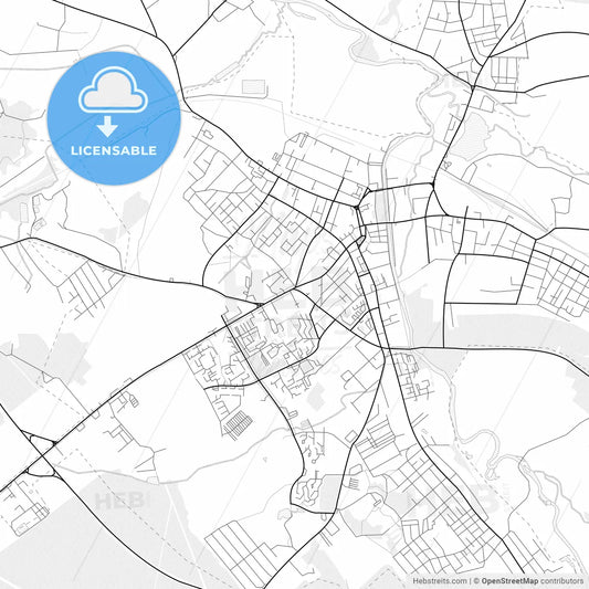 Vector PDF map of Slonim, Belarus