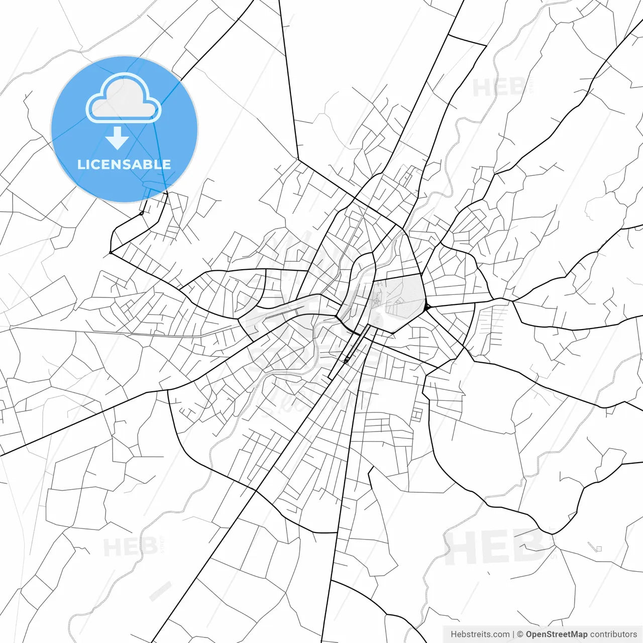 Vector PDF map of Zugdidi, Georgia