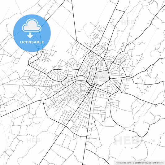 Vector PDF map of Zugdidi, Georgia