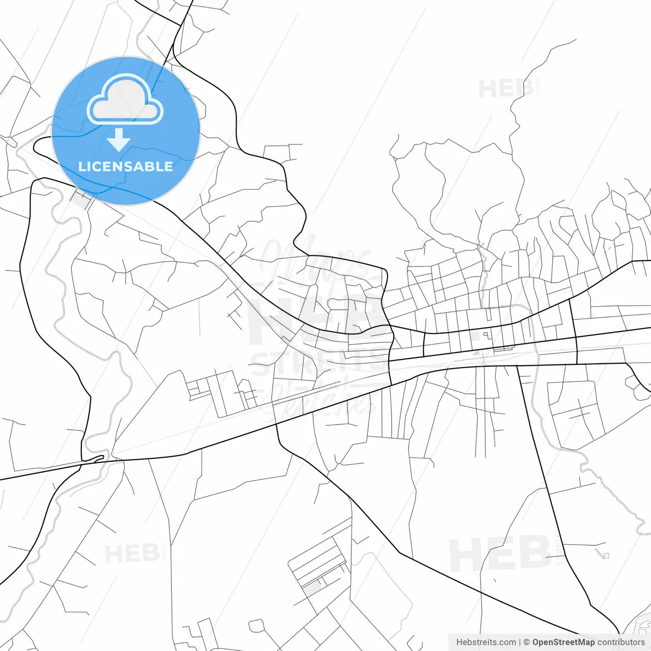 Vector PDF map of Senaki, Georgia