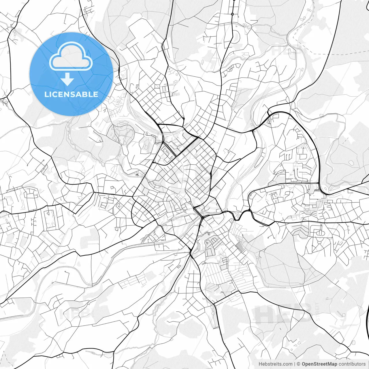 Vector PDF map of Plauen, Germany