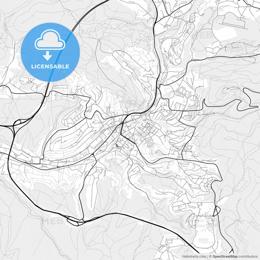 Vector PDF map of Suhl, Germany
