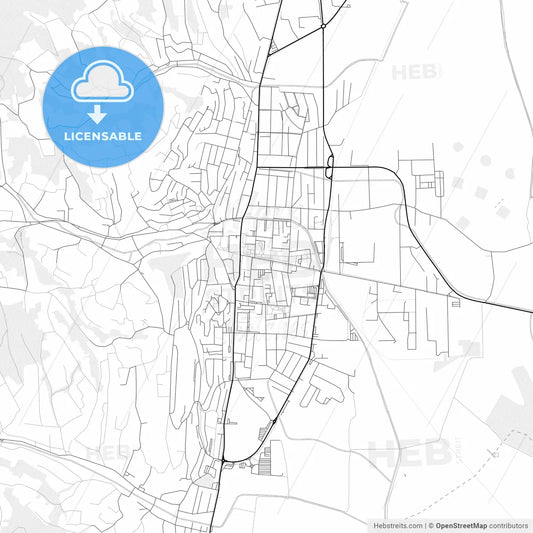 Vector PDF map of Szekszárd, Hungary