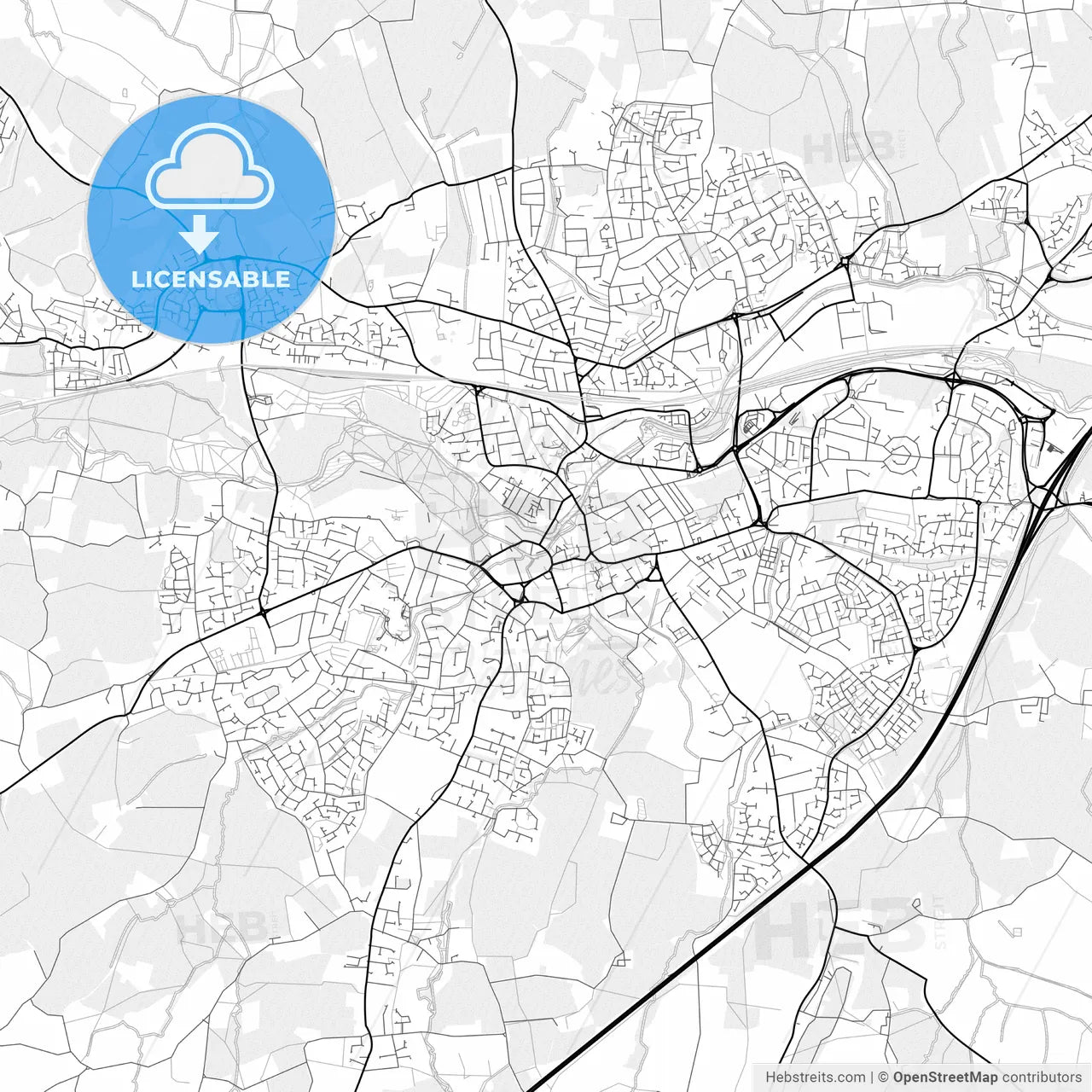 Vector PDF map of Taunton, England