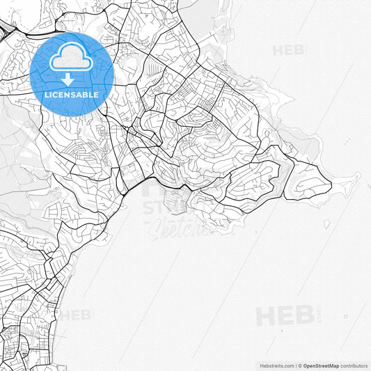 Vector PDF map of Torquay, England