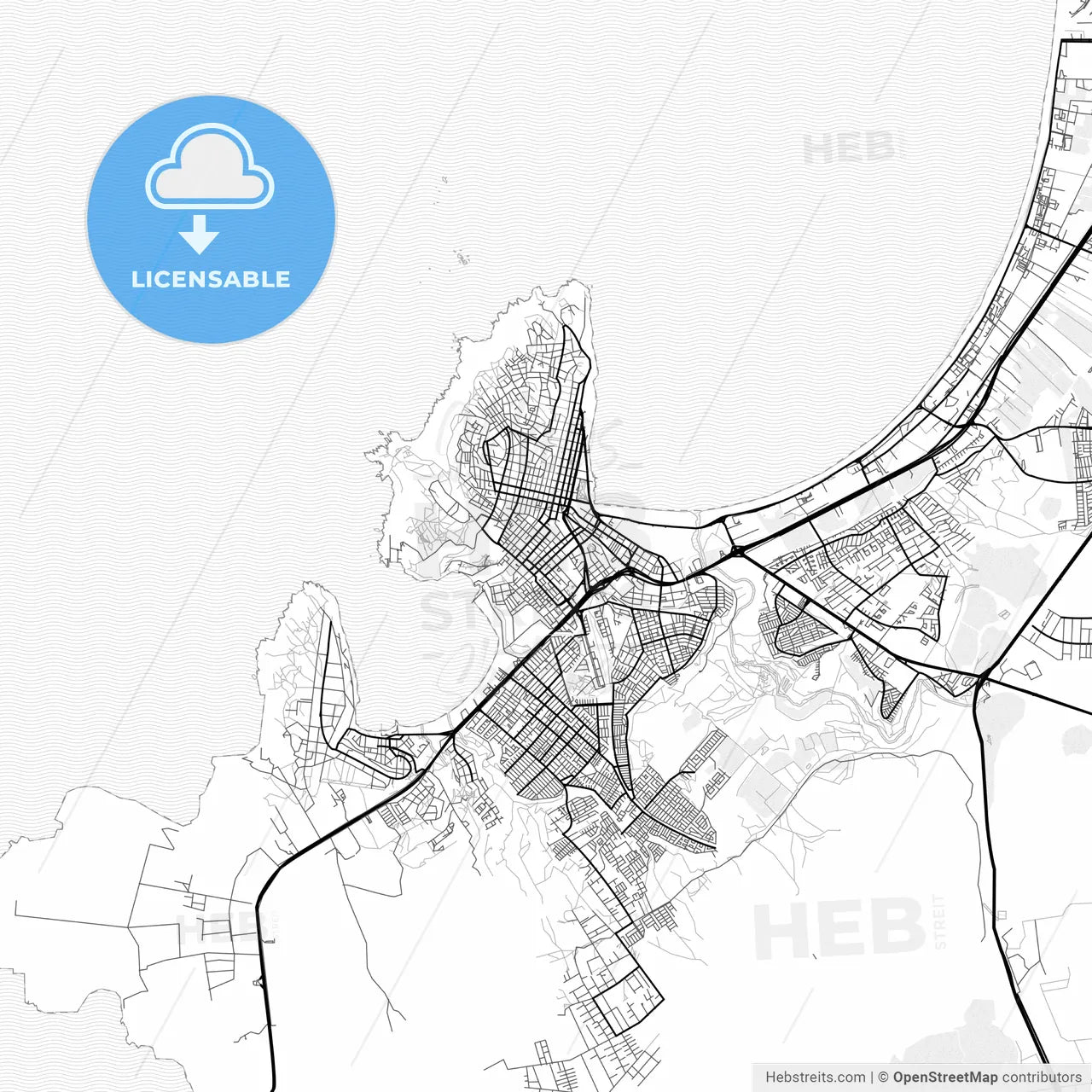 Vector PDF map of Coquimbo, Chile