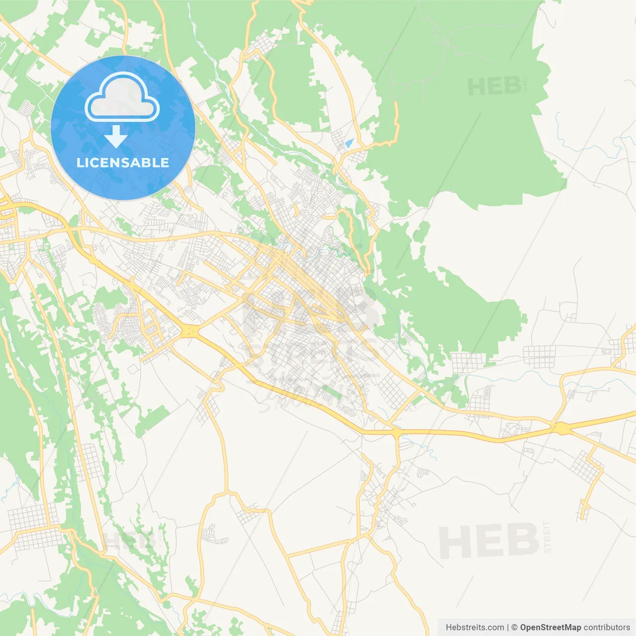 Empty vector map of Córdoba, Veracruz, Mexico