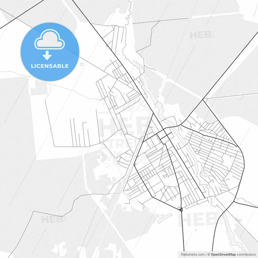 Vector PDF map of Kostopil, Ukraine