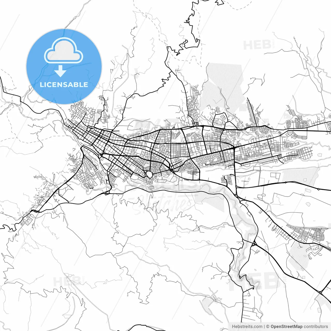 Vector PDF map of Ibague, Colombia