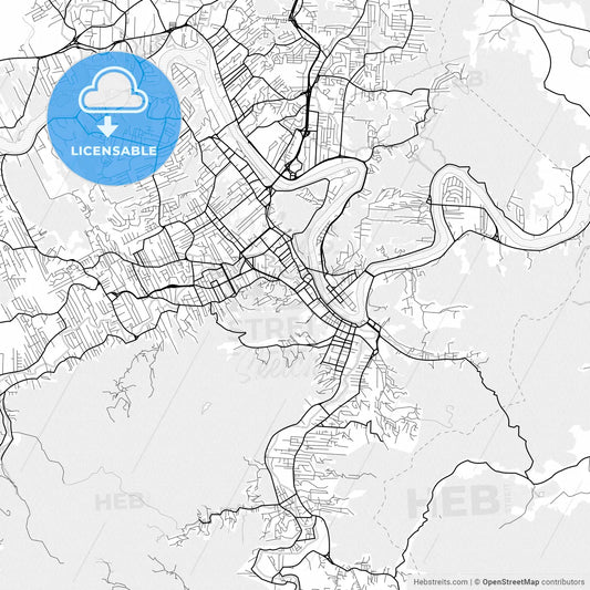 Vector PDF map of Blumenau, Brazil