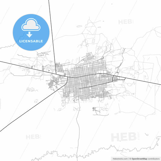 Vector PDF map of Maicao, Colombia
