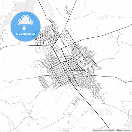 Vector PDF map of Montero, Bolivia