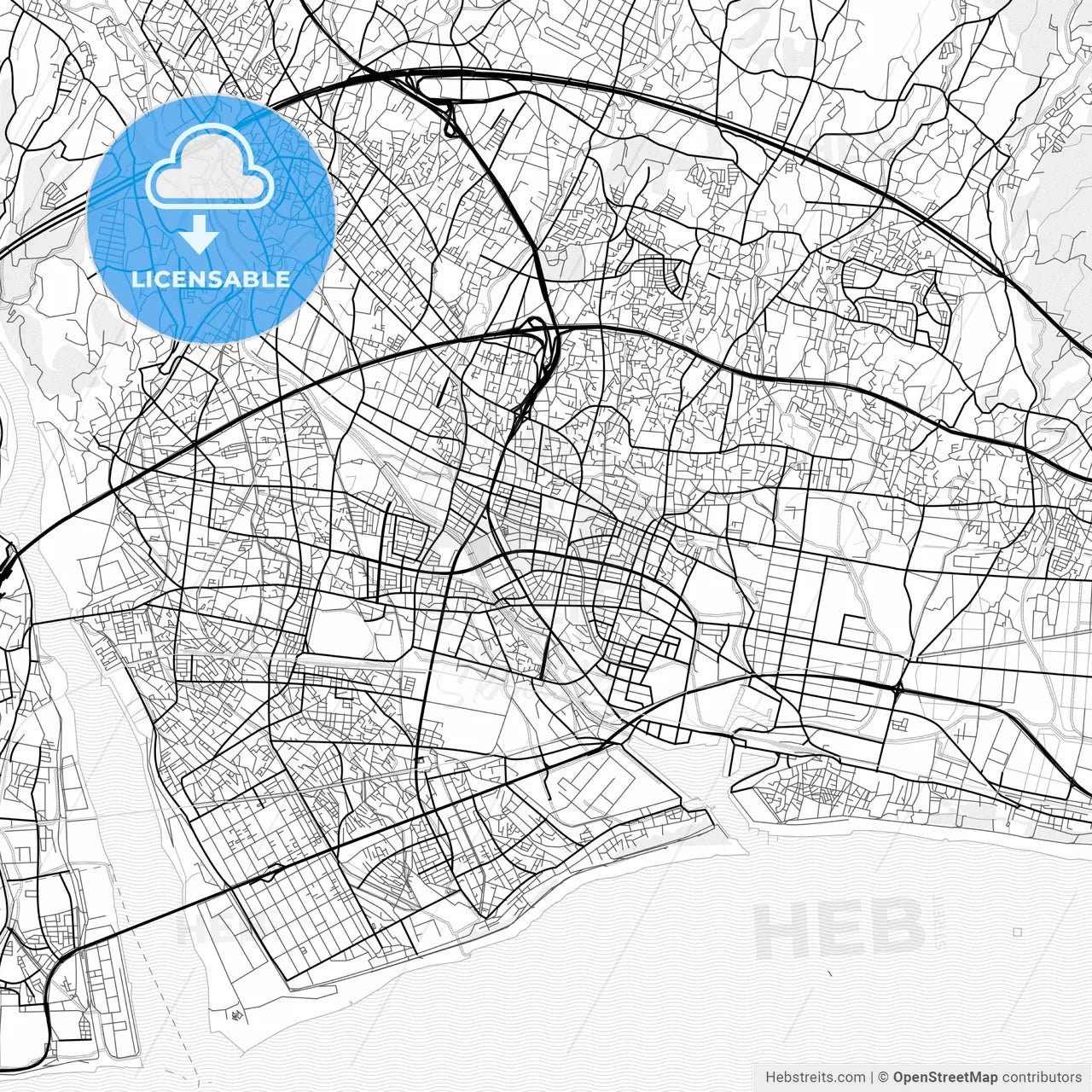 Vector PDF map of Fuji, Japan