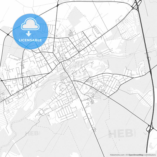 Vector PDF map of Ukmergė, Lithuania