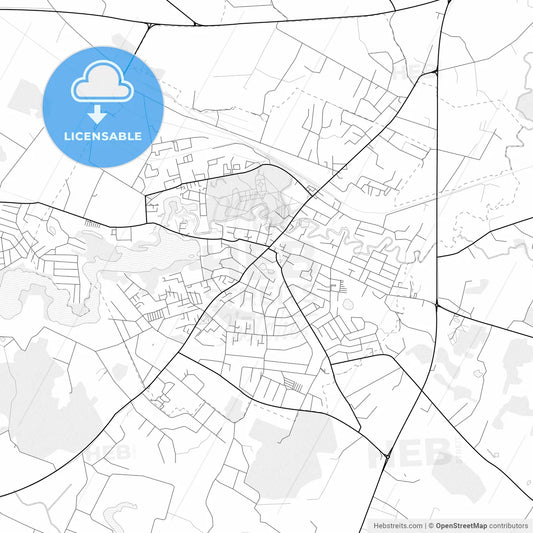 Vector PDF map of Plungė, Lithuania