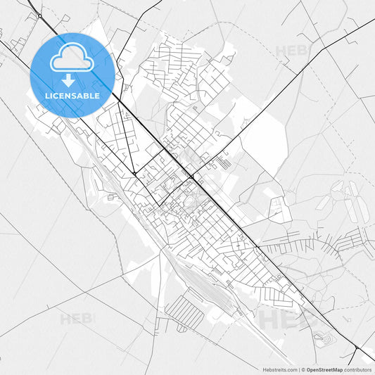 Vector PDF map of Radviliškis, Lithuania