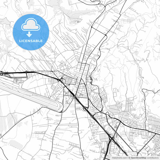 Vector PDF map of La Laguna, Spain