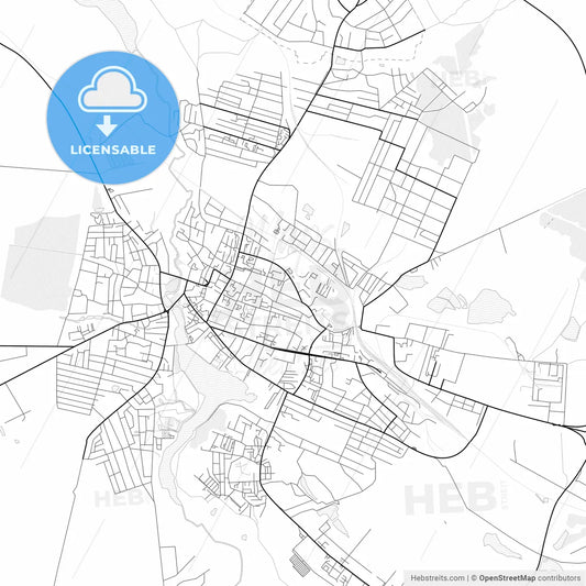 Vector PDF map of Berdychiv, Ukraine