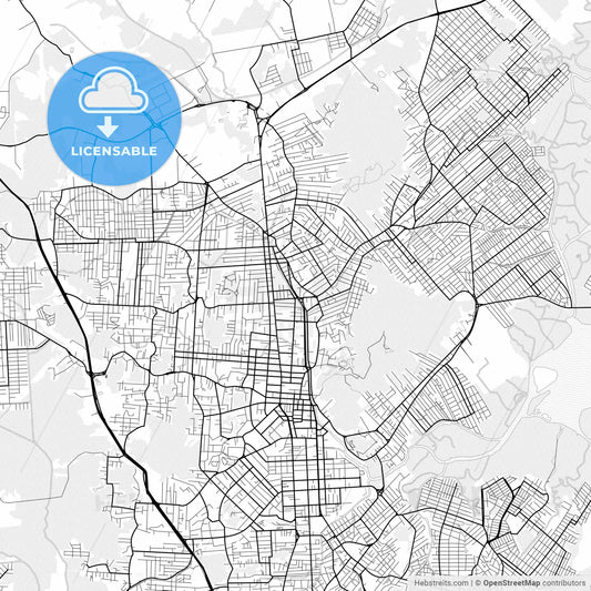 Vector PDF map of Joinville, Brazil