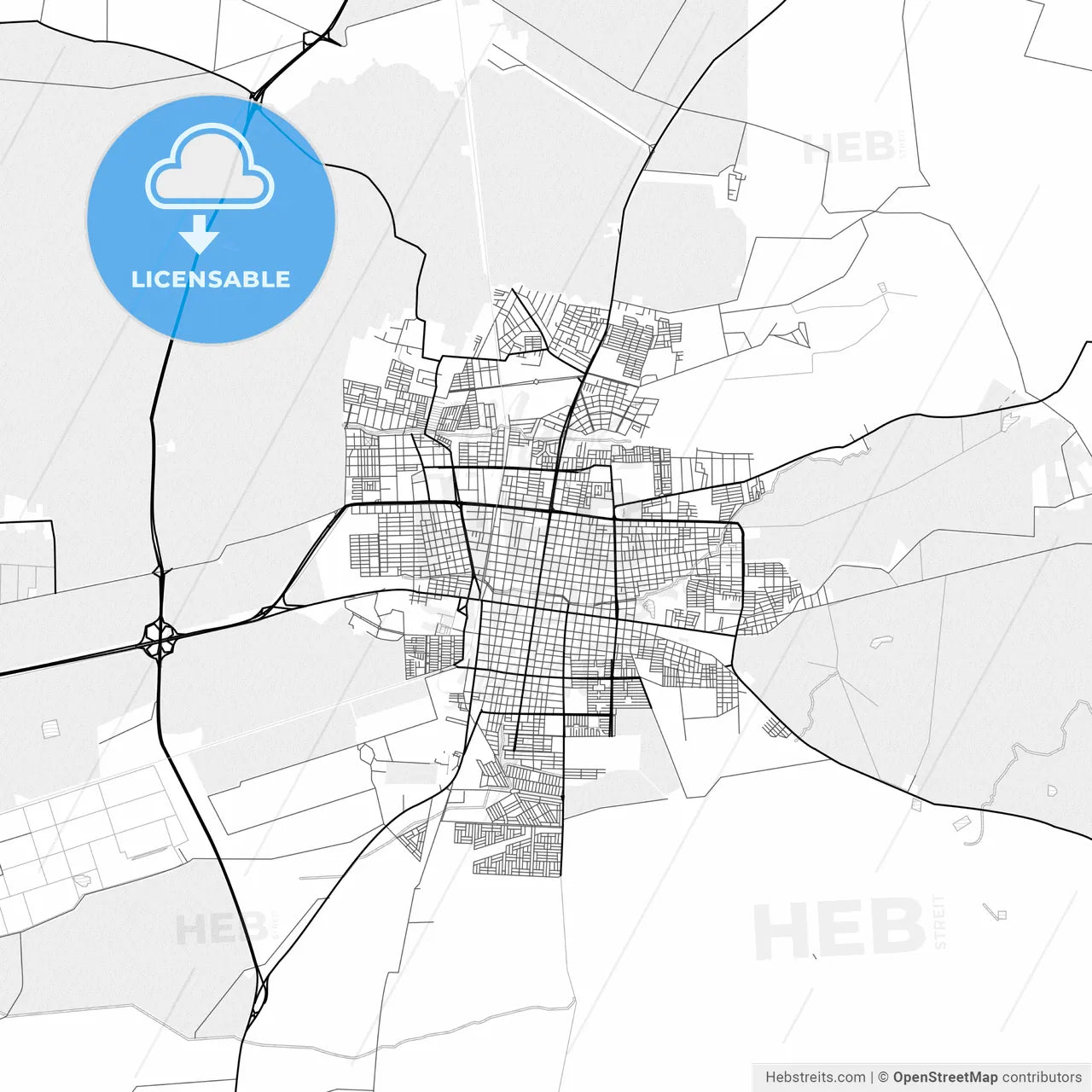 Vector PDF map of Palmira, Colombia