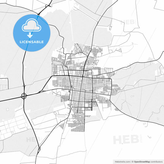 Vector PDF map of Palmira, Colombia