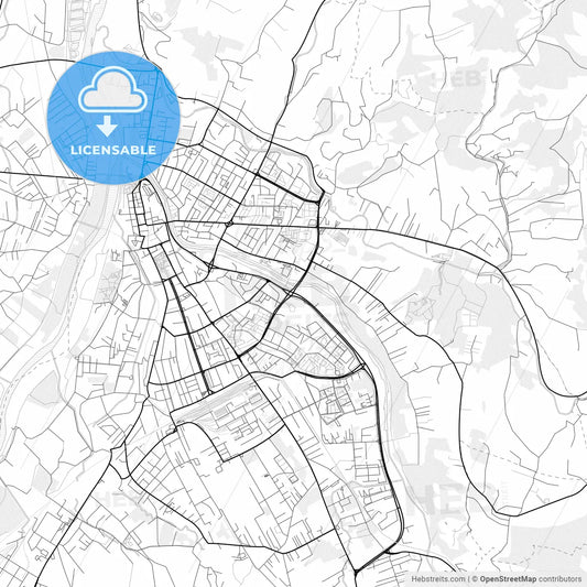 Vector PDF map of Nowy Sącz, Poland