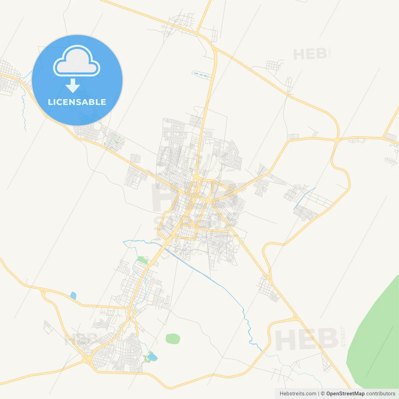Empty vector map of Zamora, Michoacán, Mexico