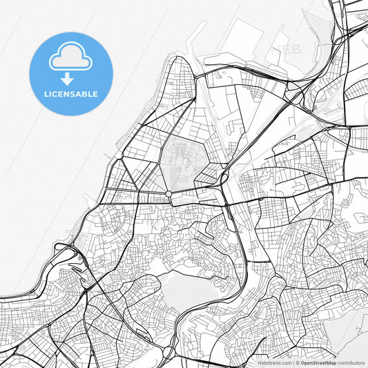 Vector PDF map of İzmir, Turkey