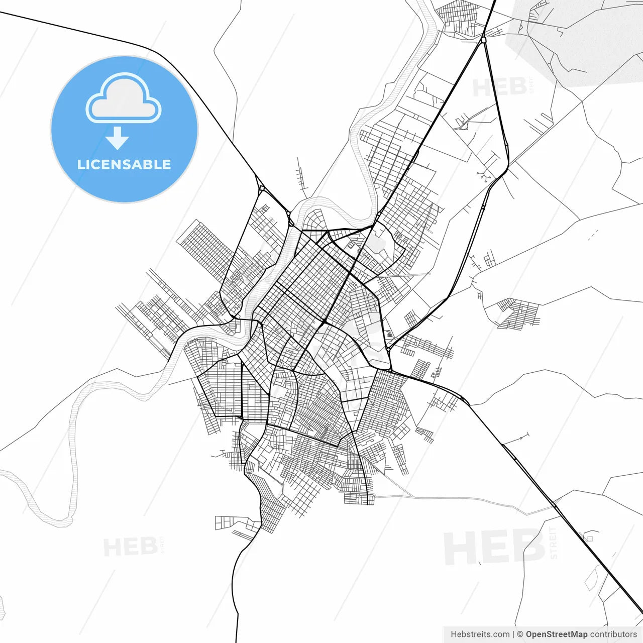 Vector PDF map of Monteria, Colombia