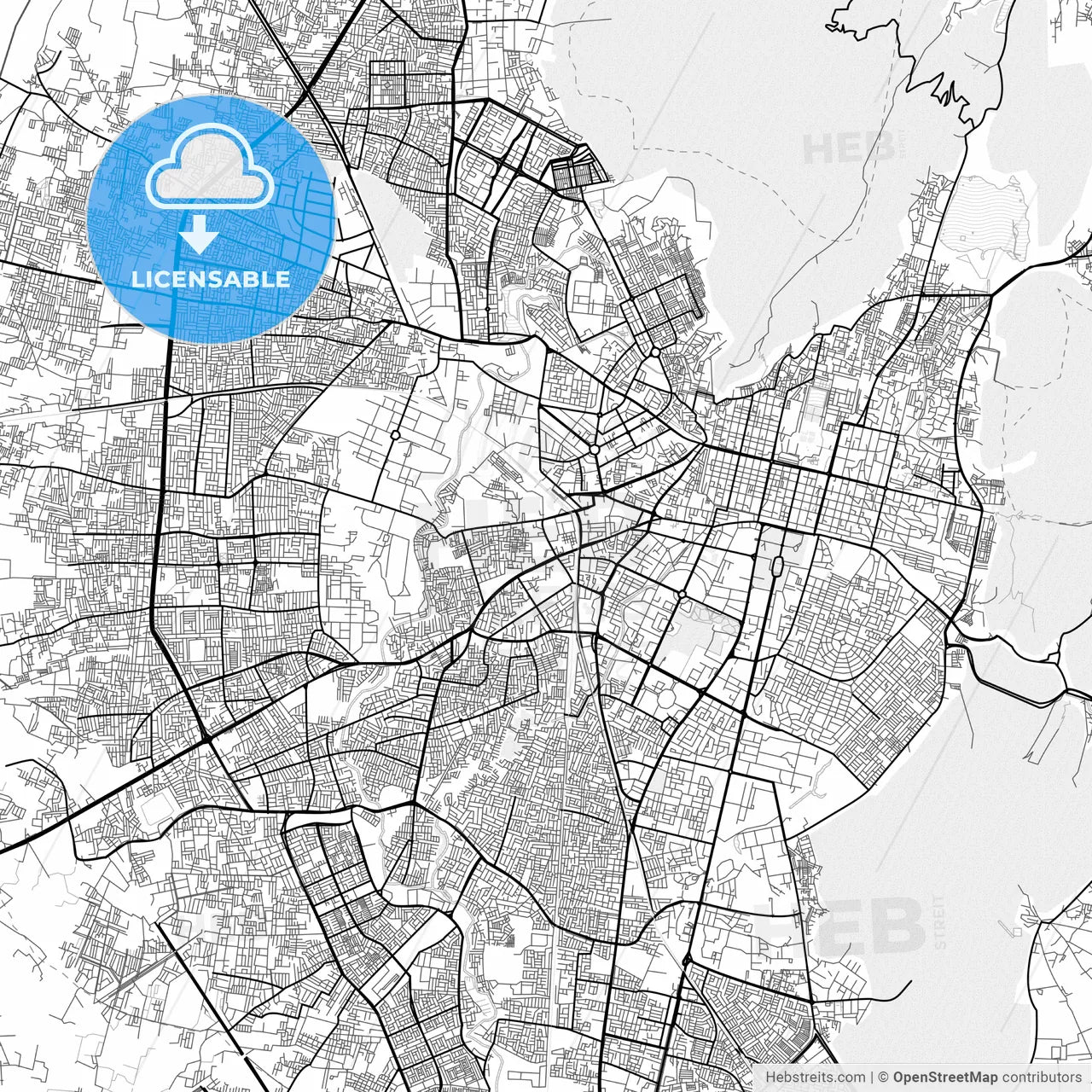Vector PDF map of Jaipur, India