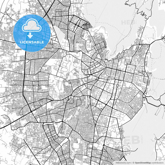 Vector PDF map of Jaipur, India