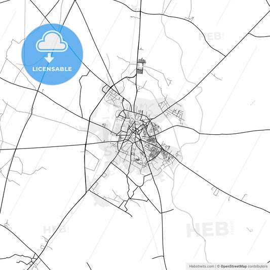 Vector PDF map of Meerut, India