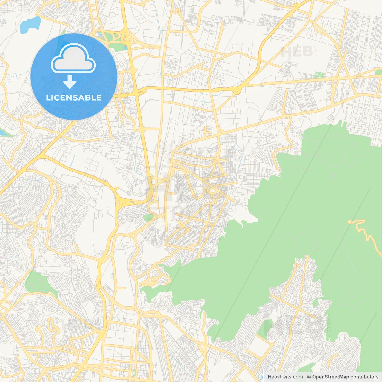 Empty vector map of Buenavista, México, Mexico