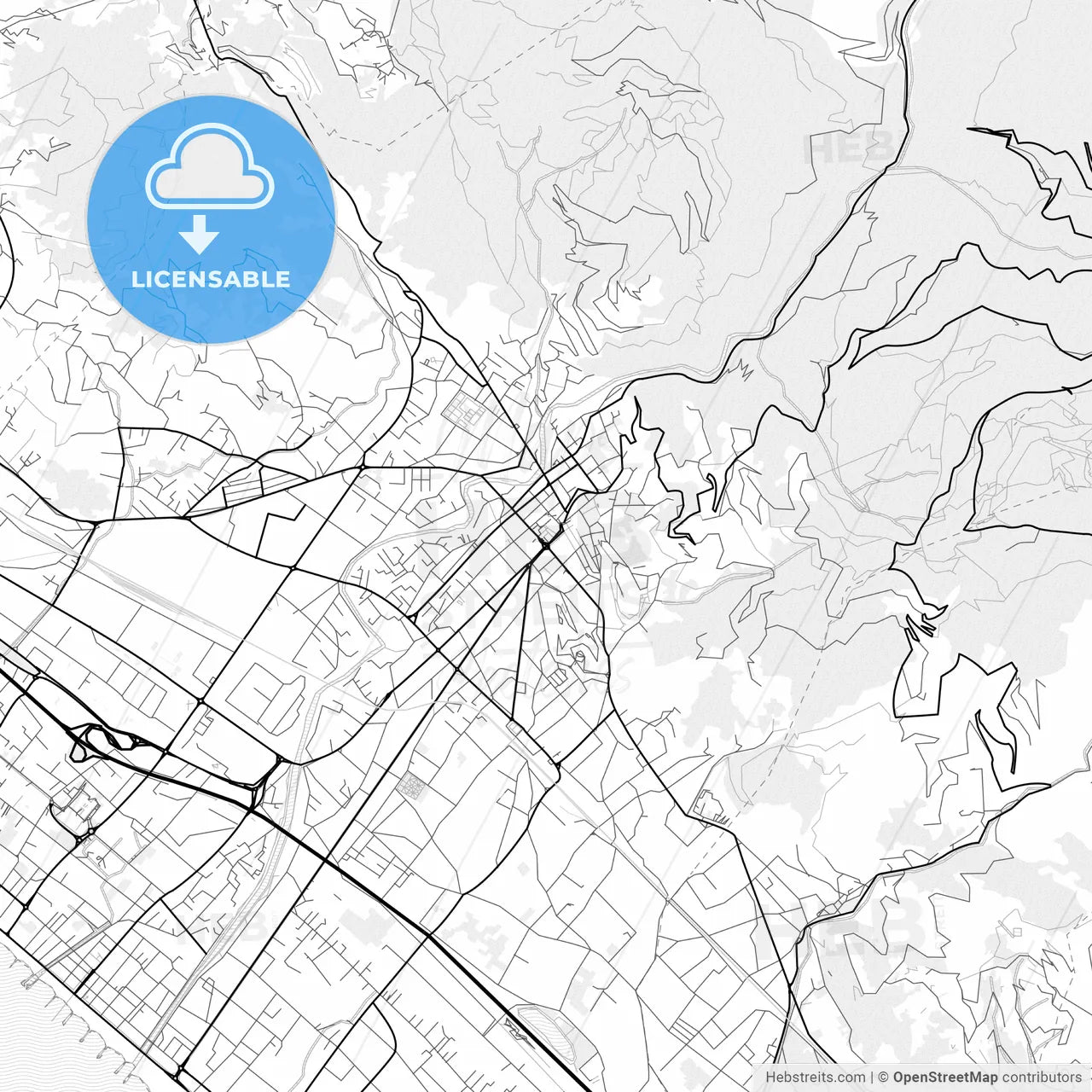 Vector PDF map of Massa, Italy