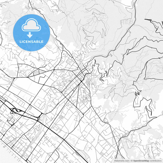 Vector PDF map of Massa, Italy