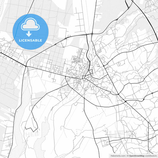 Vector PDF map of Ovar, Portugal
